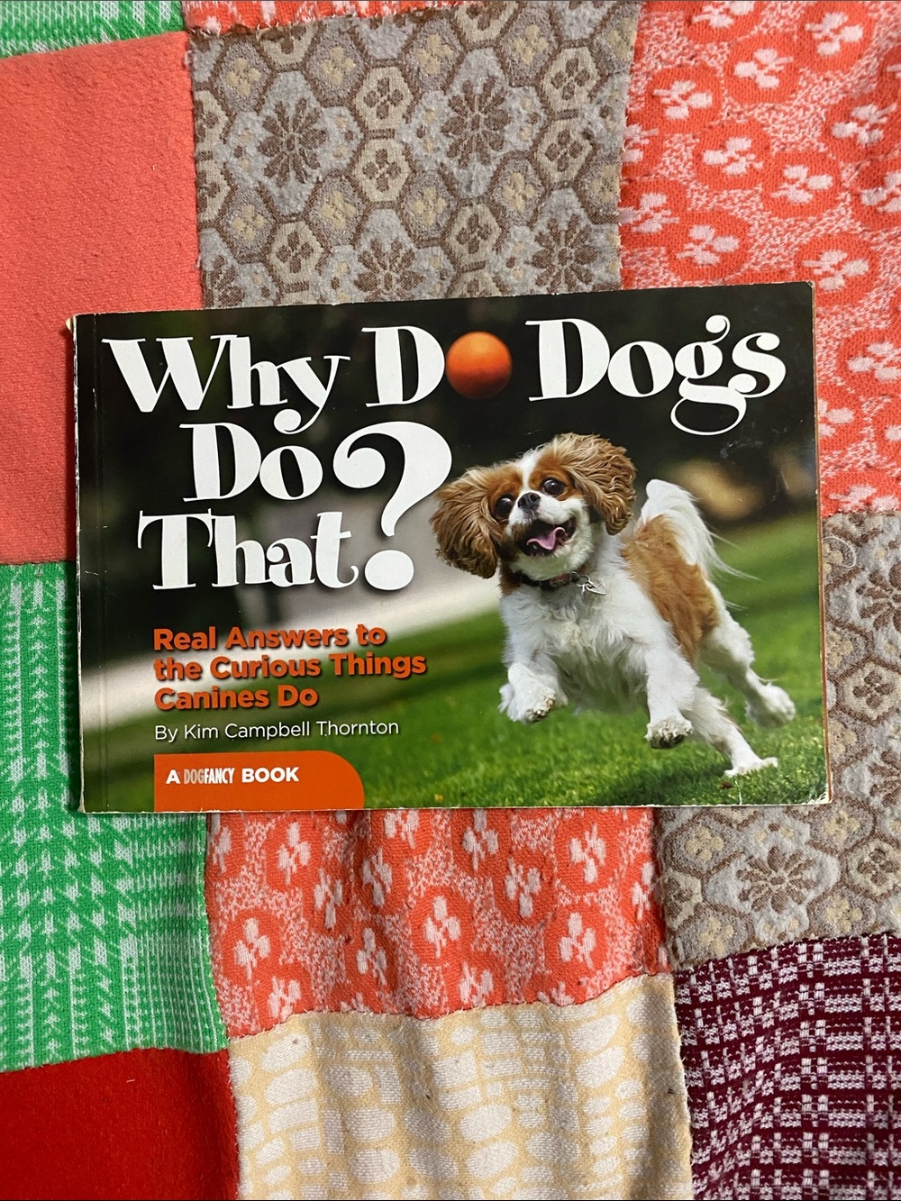 Why Do Dogs Do That? by Kim Campbell Thornton